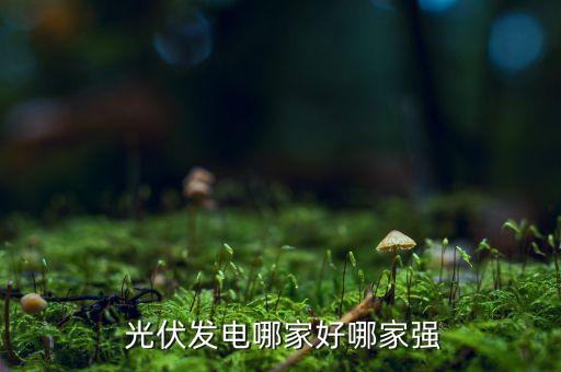  光伏发电哪家好哪家强