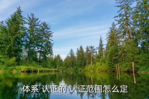  体系 认证的 认证范围怎么定