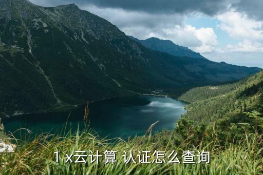 阿里企业架构acp认证,阿里云认证ACP和ACE