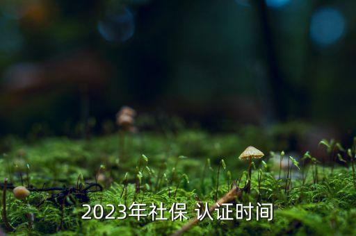 2023年社保 认证时间