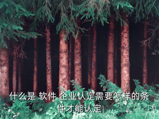 软件企业认证找哪家,不用企业认证的招聘软件