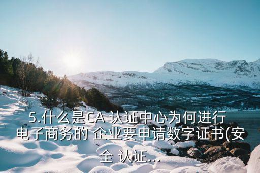 5.什么是CA 认证中心为何进行 电子商务的 企业要申请数字证书(安全 认证...