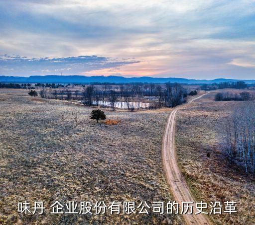 味丹 企业股份有限公司的历史沿革