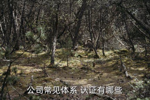 企业认证几种模式区别,企业模式有几种