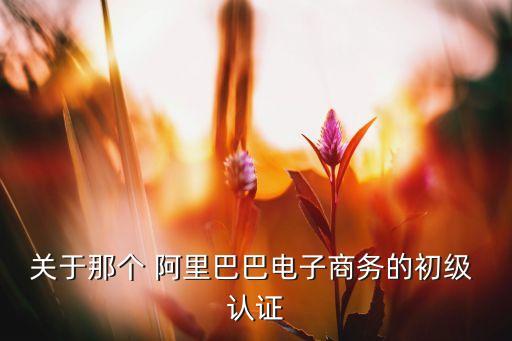 关于那个 阿里巴巴电子商务的初级 认证