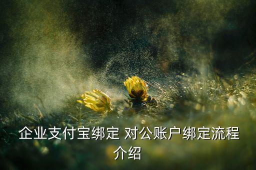  企业支付宝绑定 对公账户绑定流程介绍