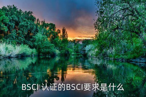 出口企业的bsci认证,出口企业需要办什么认证?
