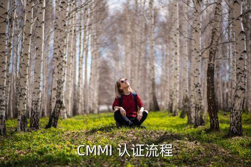 CMMI 认证流程