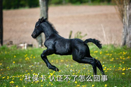 社保卡 认证不了怎么回事