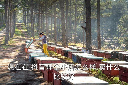 想在在 抖音开个小店怎么样,卖什么比较好