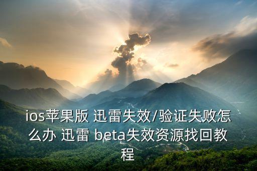 迅雷beta企业认证,迅雷企业认证版