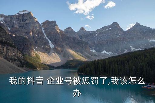 我的抖音 企业号被惩罚了,我该怎么办