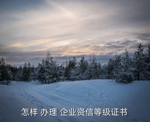 怎样 办理 企业资信等级证书