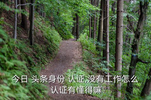 头条企业认证不了怎么办,今日头条企业认证费用多少钱