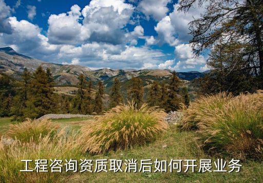工程咨询资质取消后如何开展业务
