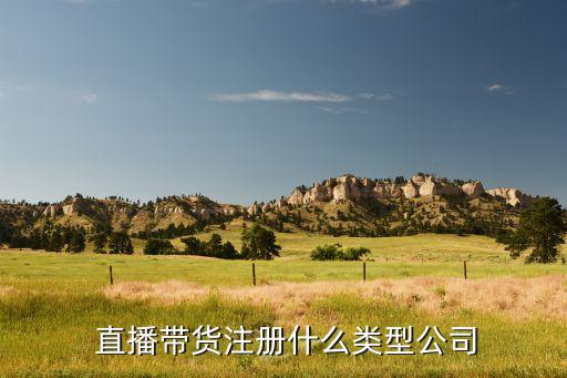  直播带货注册什么类型公司