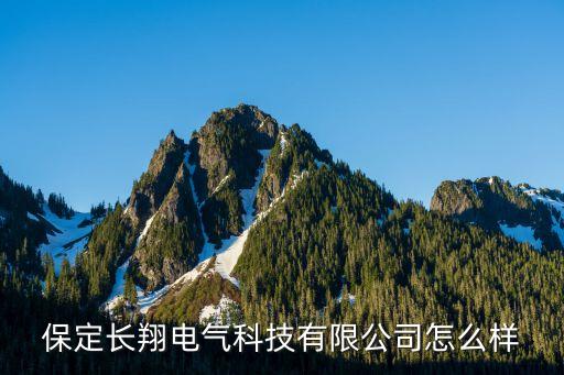 保定长翔电气科技有限公司怎么样