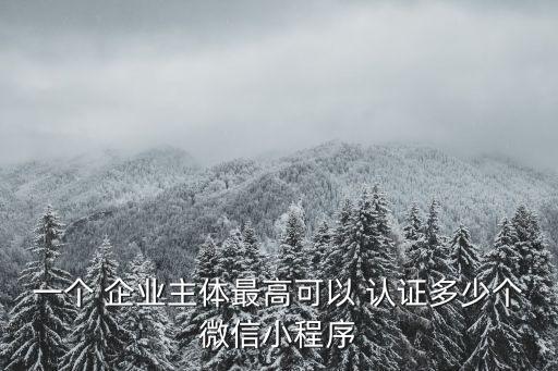 一个 企业主体最高可以 认证多少个微信小程序