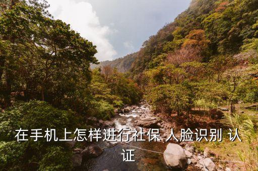 在手机上怎样进行社保 人脸识别 认证