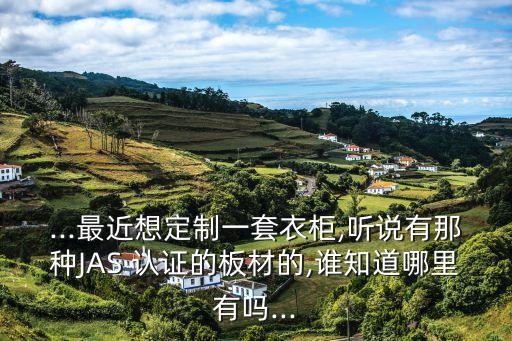 ...最近想定制一套衣柜,听说有那种JAS 认证的板材的,谁知道哪里有吗...