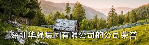 深圳华强集团有限公司的公司荣誉