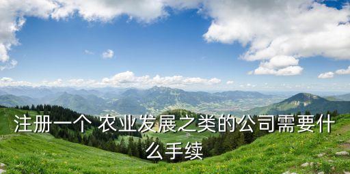 注册一个 农业发展之类的公司需要什么手续