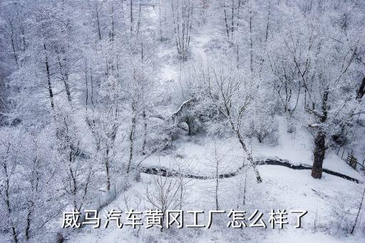  威马汽车黄冈工厂怎么样了