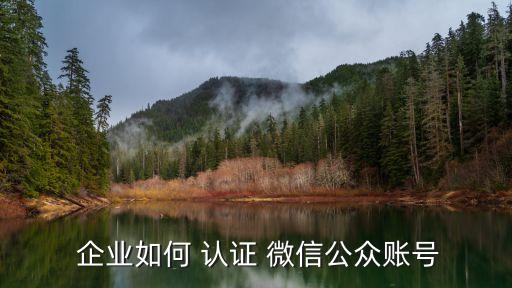 企业微信认证技巧在哪,微信视频号个人认证技巧