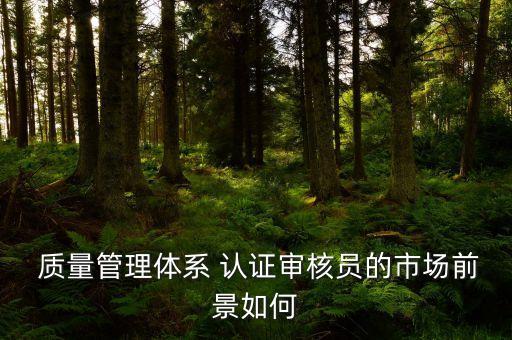  质量管理体系 认证审核员的市场前景如何