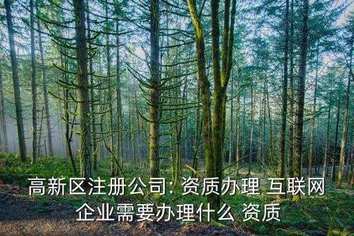 互联网企业资质认证,外贸企业资质认证