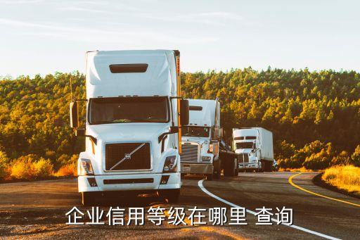 企业信用等级在哪里 查询