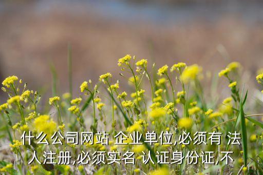 什么公司网站 企业单位,必须有 法人注册,必须实名 认证身份证,不