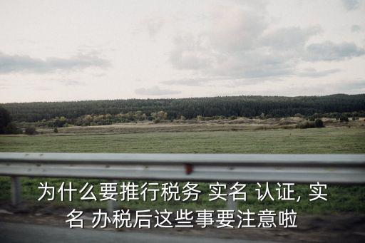 临沂企业办税人员实名认证,企业实名办税人员解除