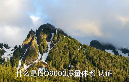商贸企业9001认证,企业9001认证质量管理体系内容