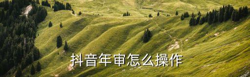  抖音年审怎么操作