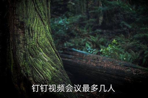 钉钉个人认证企业人数,钉钉企业组织认证怎么更改