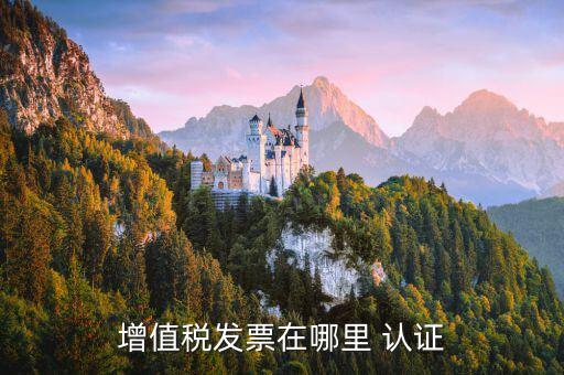 增值税发票在哪里 认证