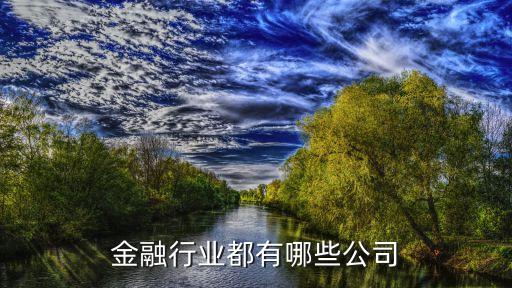 金融行业都有哪些公司
