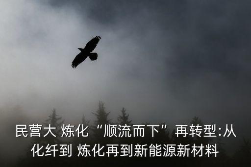 民营大 炼化“顺流而下”再转型:从化纤到 炼化再到新能源新材料