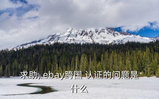 求助, ebay跨国 认证的问题是什么