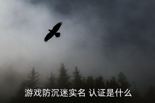 企业账号认证游戏有哪些,qq账号登录游戏怎么重新认证