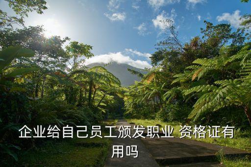  企业给自己员工颁发职业 资格证有用吗