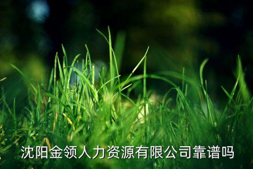  沈阳金领人力资源有限公司靠谱吗