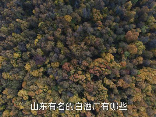  山东有名的白酒厂有哪些