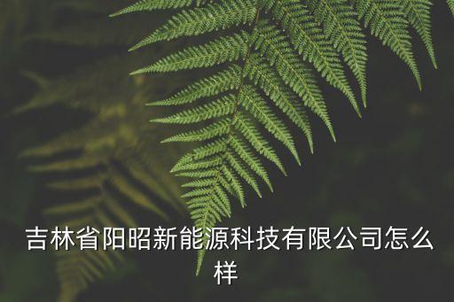  吉林省阳昭新能源科技有限公司怎么样