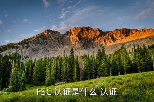 fsc认证 企业,什么是fsc森林认证?