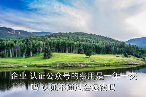 企业认证没通过,支付宝企业认证