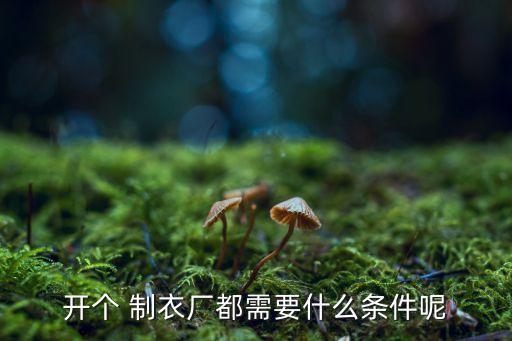 开个 制衣厂都需要什么条件呢