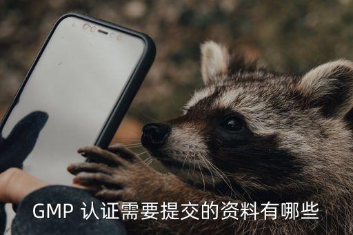 GMP 认证需要提交的资料有哪些