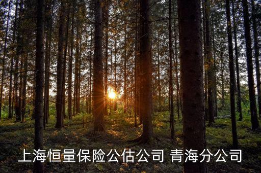 上海恒量保险公估公司 青海分公司